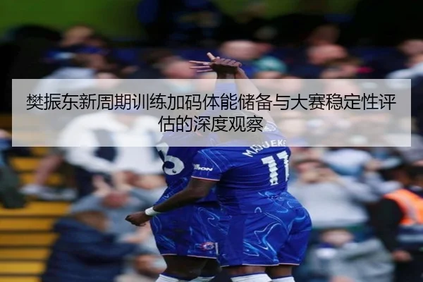 樊振东新周期训练加码体能储备与大赛稳定性评估的深度观察